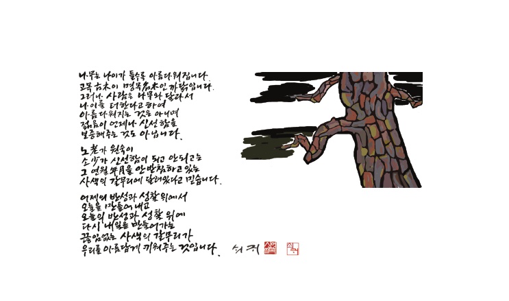 나무는나이가들수록_201511.jpg